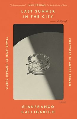 Last Summer in the City : A Novel