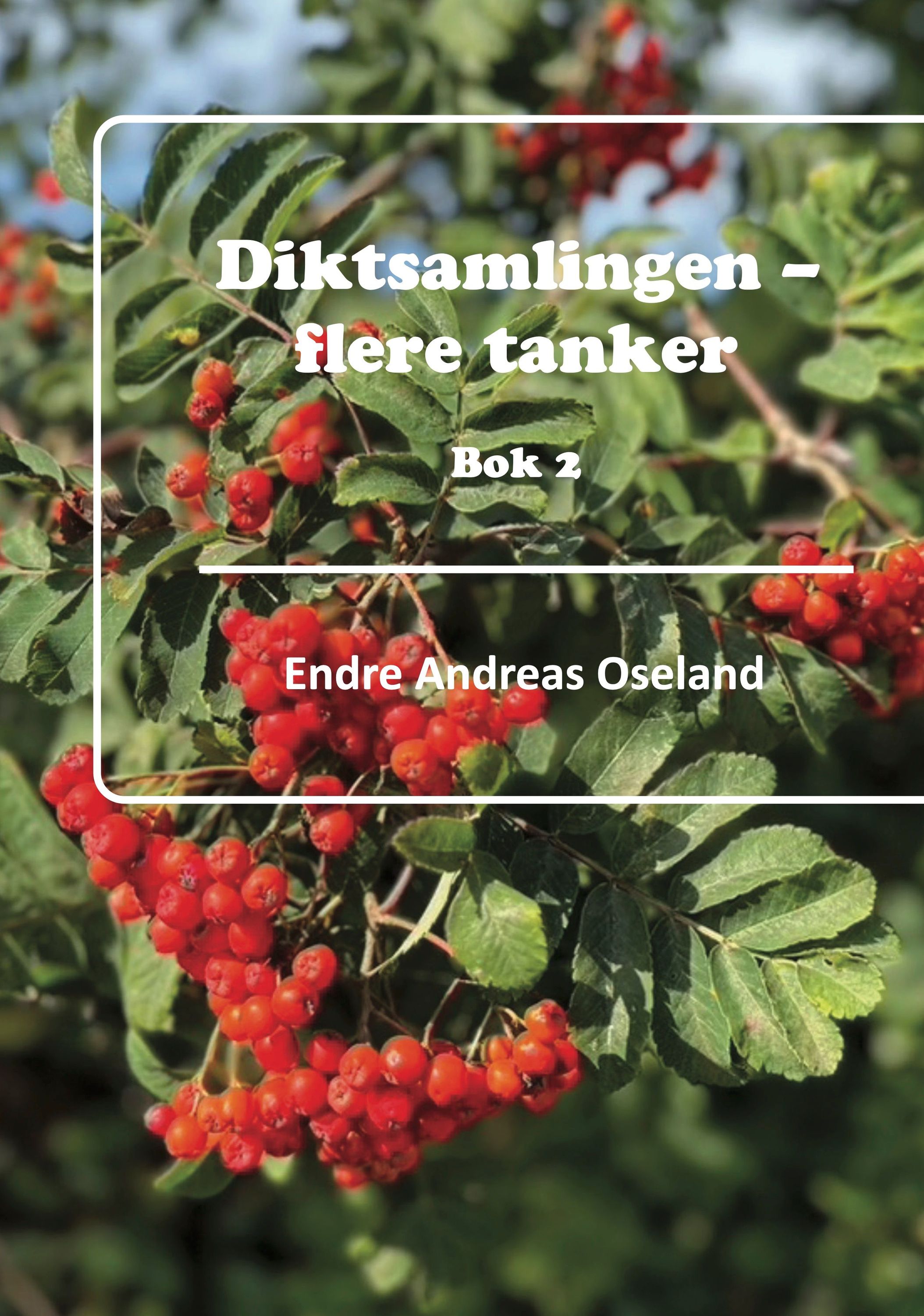 Dikt formidler tankens språk : diktsamlingen - flere tanker bok 2