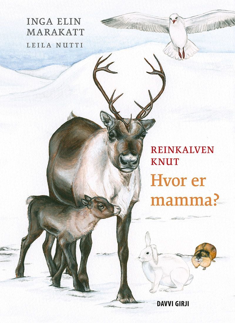 Forsidebilde av Reinkalven Knut : hvor er mamma?
