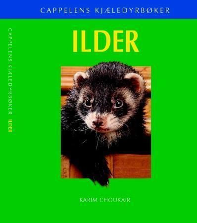 Ilder
