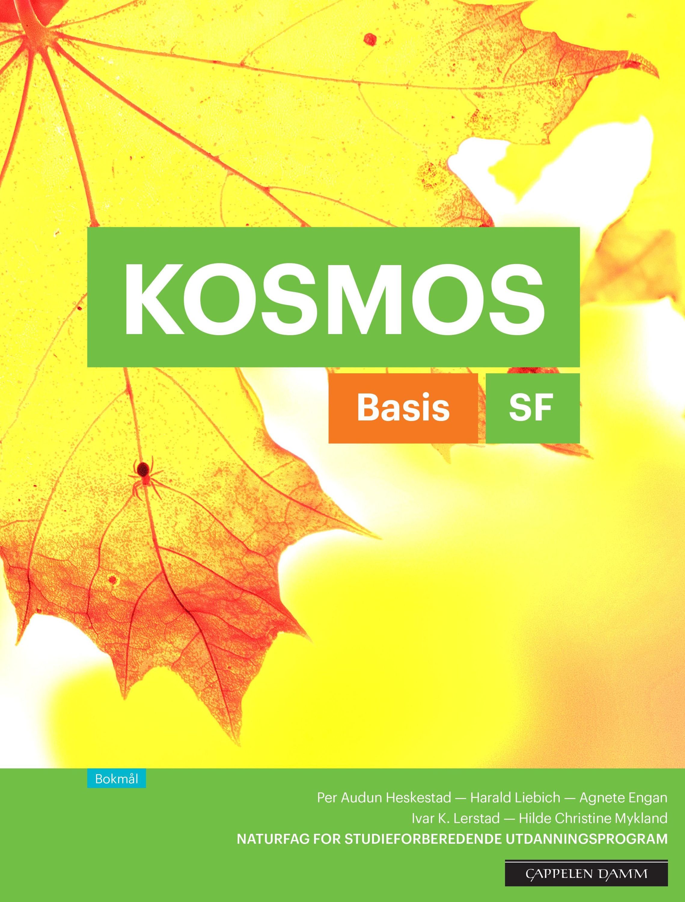 Kosmos SF : basis : naturfag for studieforberedende utdanningsprogram
