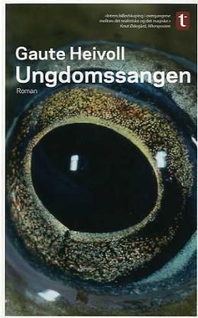 Ungdomssangen : roman