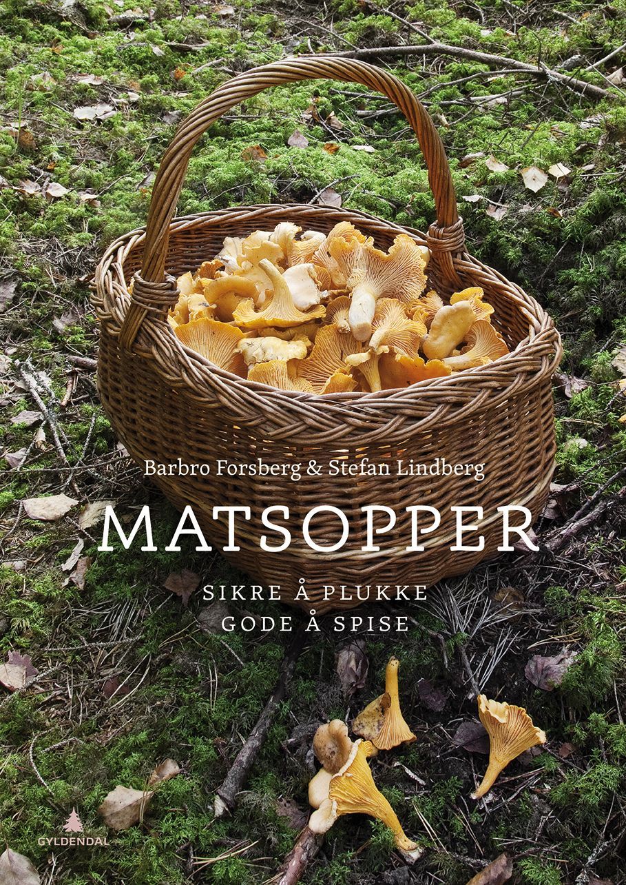 Matsopper : sikre å plukke - gode å spise