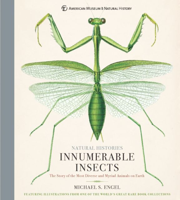 Innumerable Insects : The Story of the Most Diverse and Myriad Animals on Earth