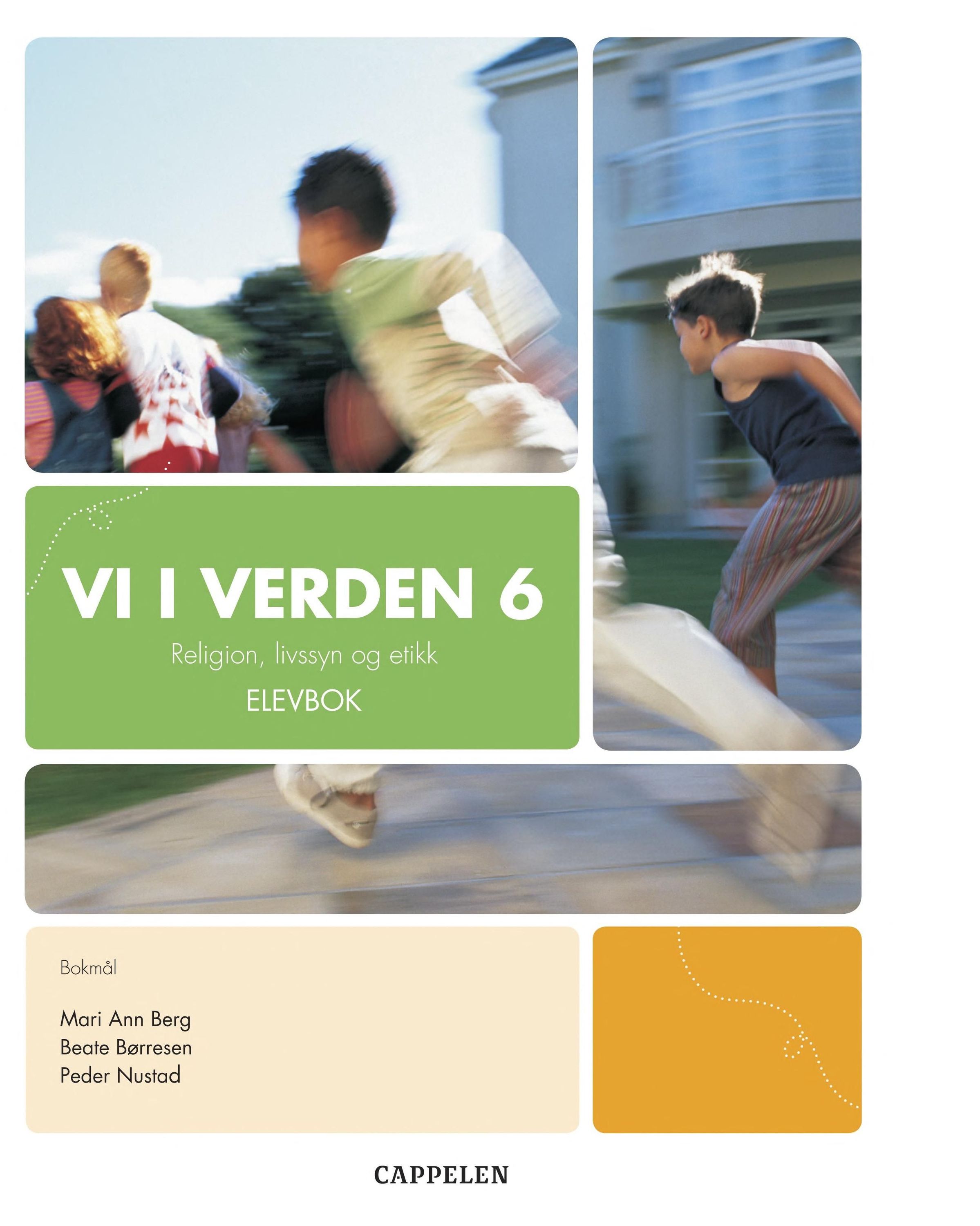 Vi i verden 6 : elevbok : religion, livssyn og etikk