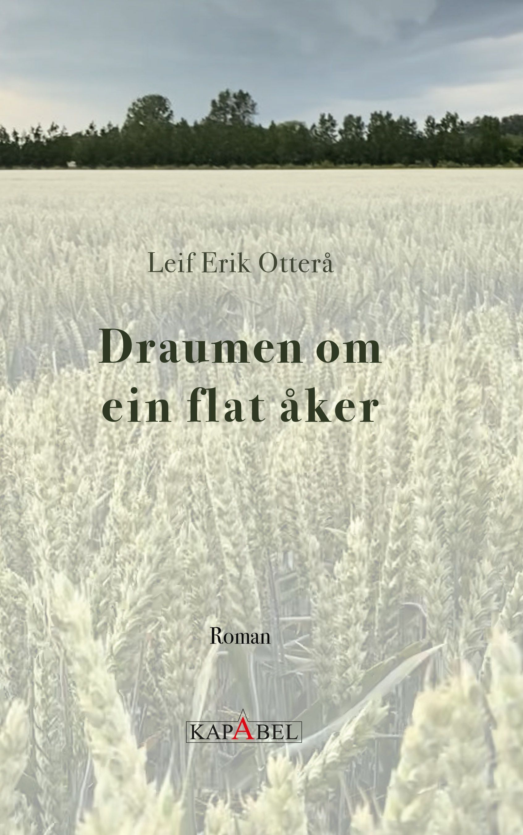 Draumen om ein flat åker : roman