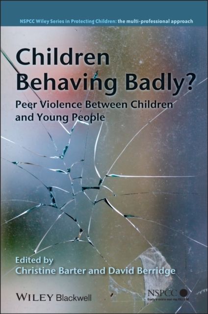 Children Behaving Badly? : Peer Violence Between Children and Young People