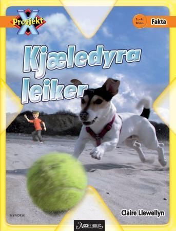 Kjæledyra leiker