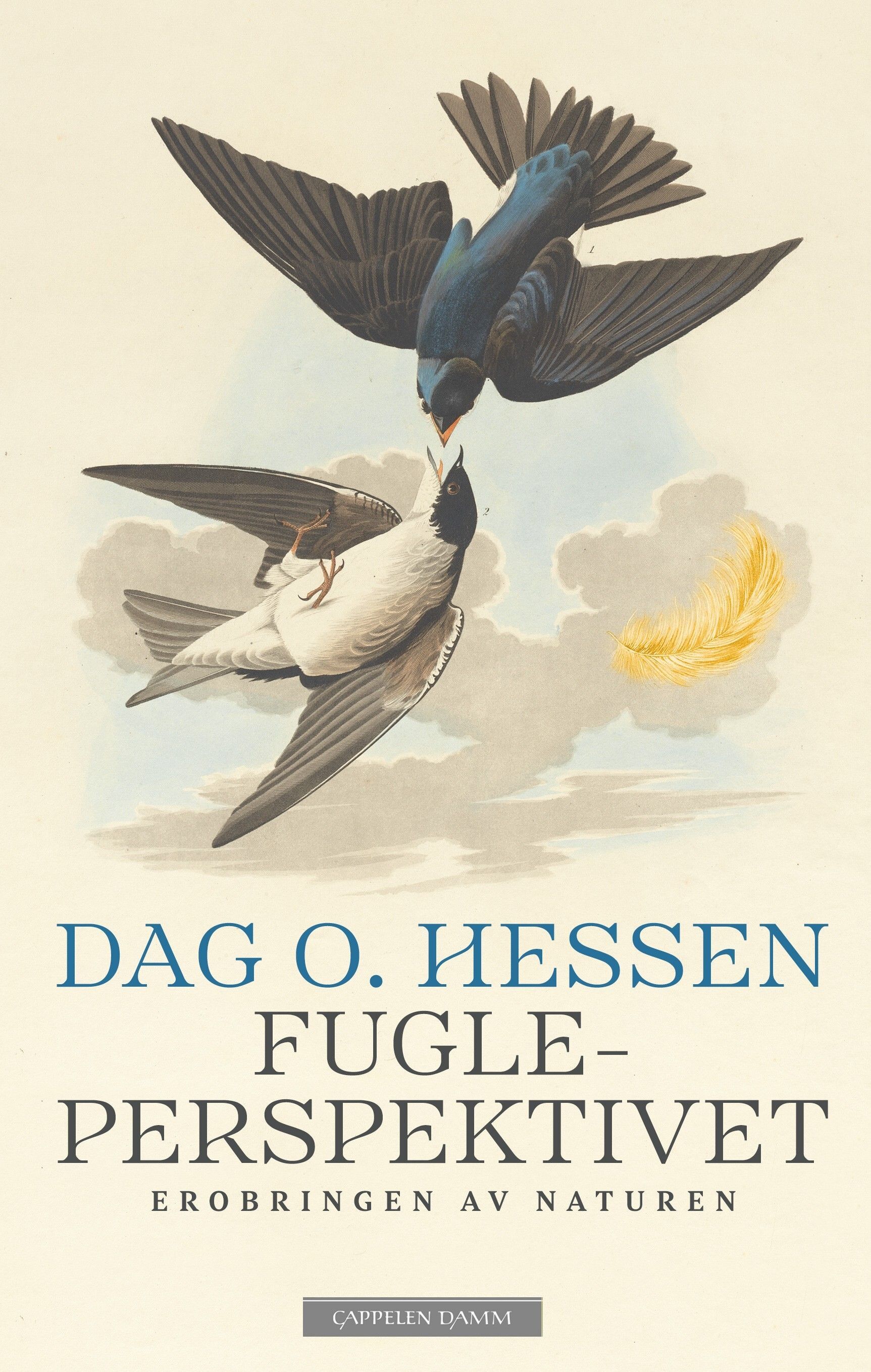Fugleperspektivet : erobringen av naturen