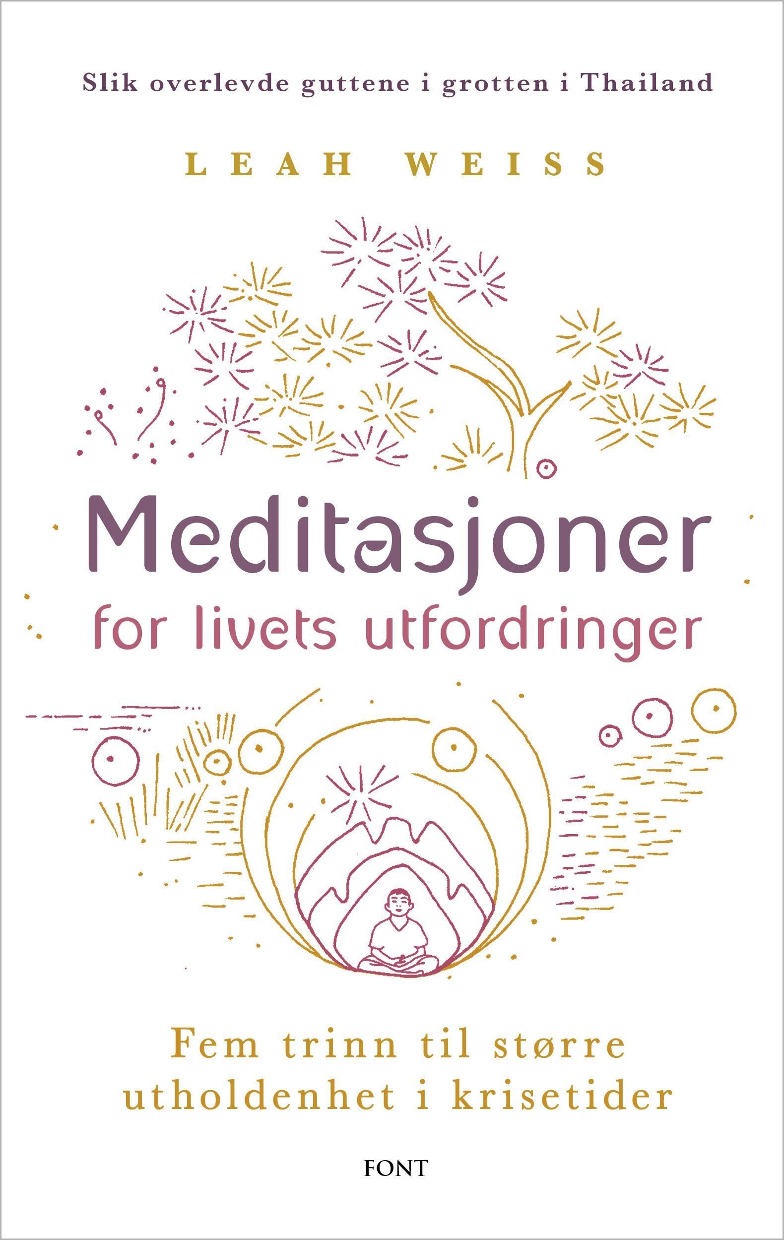 Meditasjoner for livets utfordringer : fem trinn til større utholdenhet i krisetider
