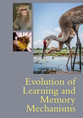 Forsidebilde av Evolution of Learning and Memory Mechanisms