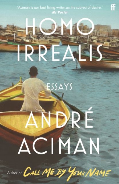 Homo irrealis : essays