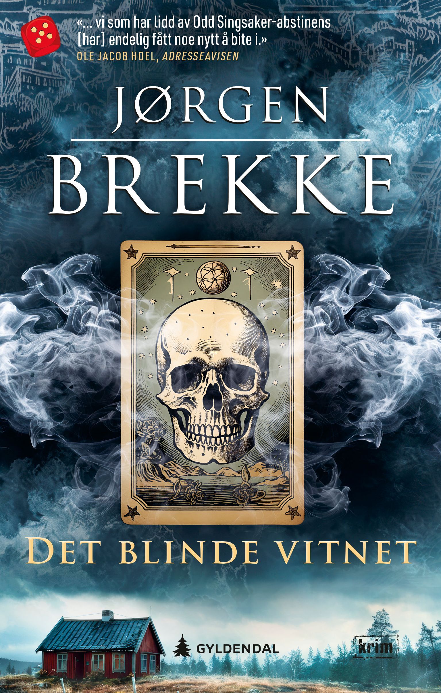 Det blinde vitnet : en Odd Singsaker-krim