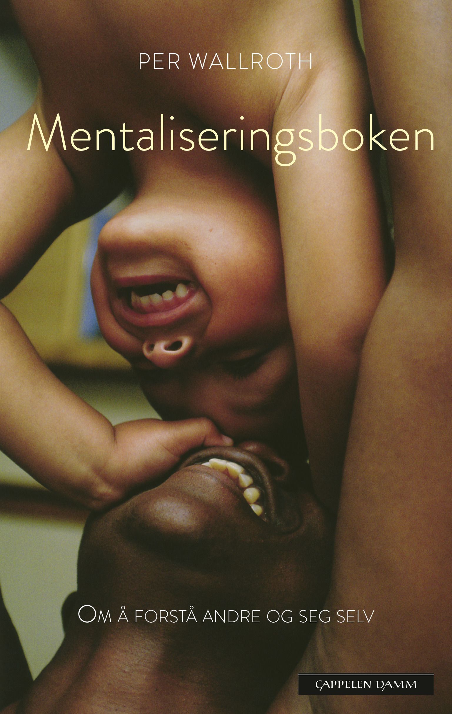 Mentaliseringsboken : om å forstå andre og seg selv
