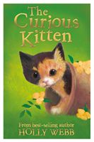 The curious kitten