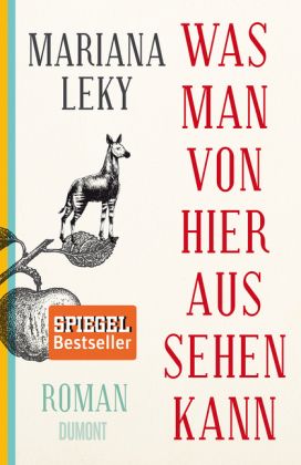 Was man von hier aus sehen kann : Roman