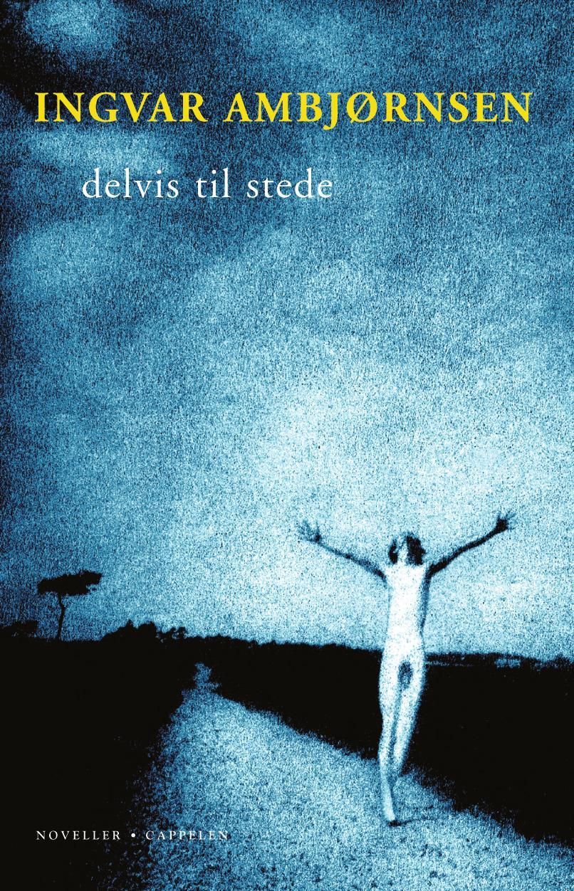 Delvis til stede : noveller