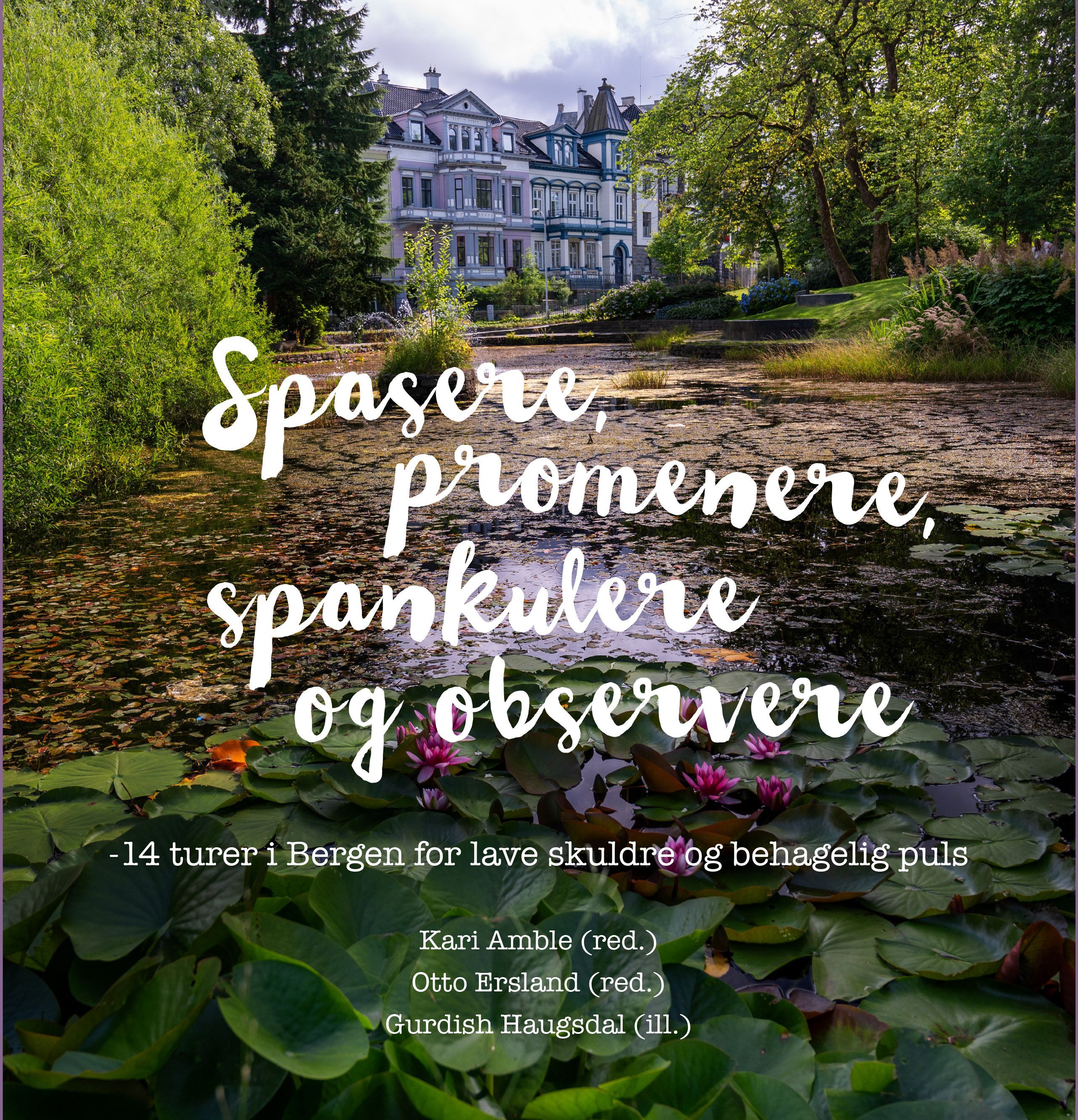 Spasere, promenere, spankulere og observere : 14 turer i Bergen for lave skuldre og behagelig puls