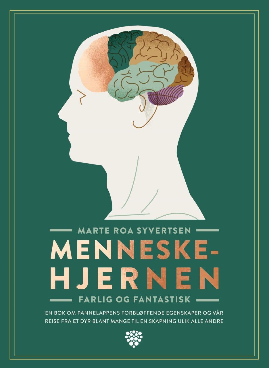 Menneskehjernen : farlig og fantastisk