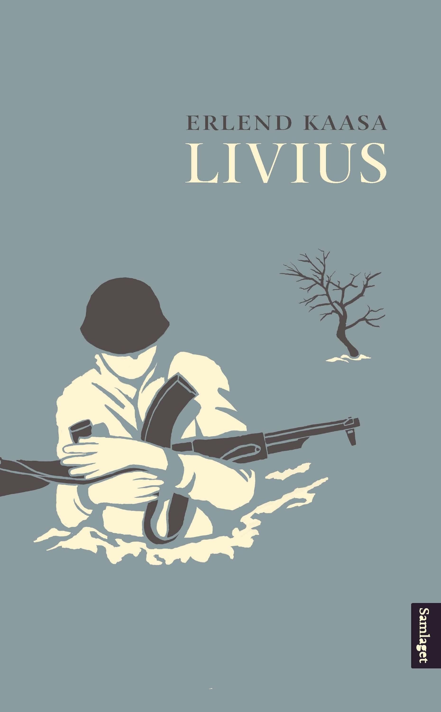 Livius : roman