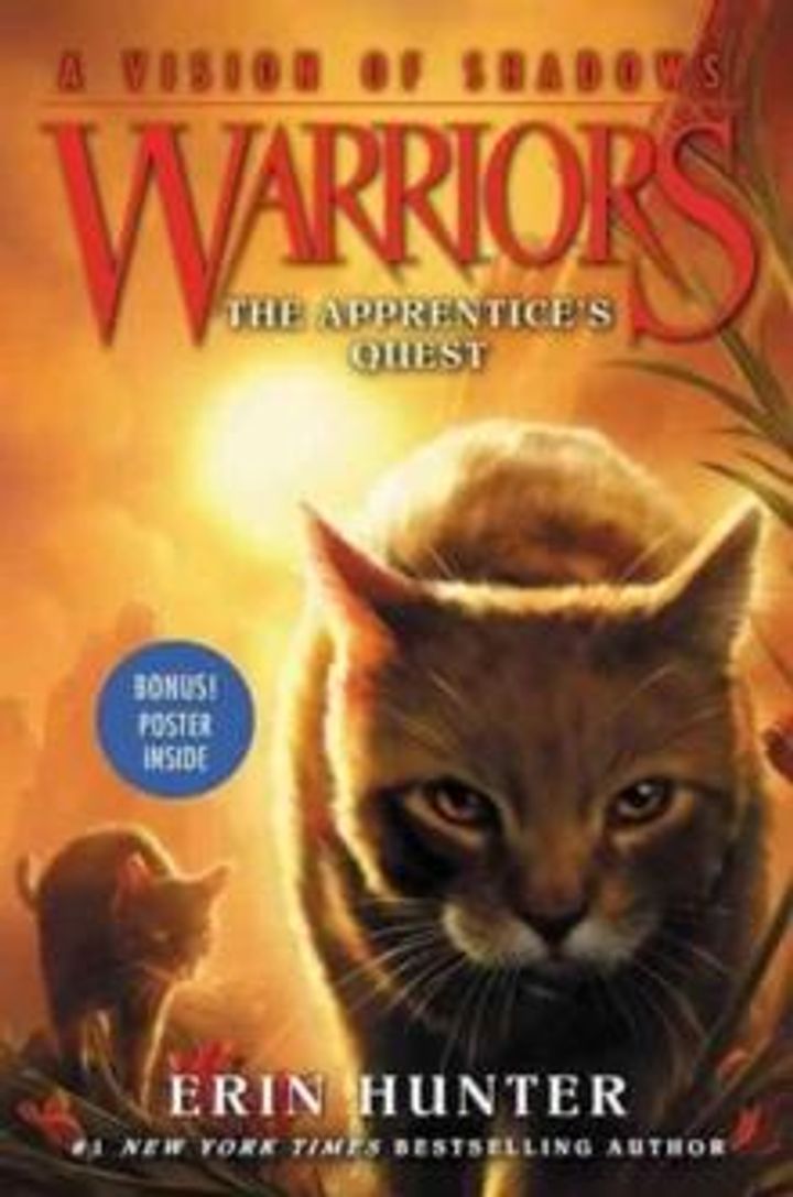 The apprentice's quest