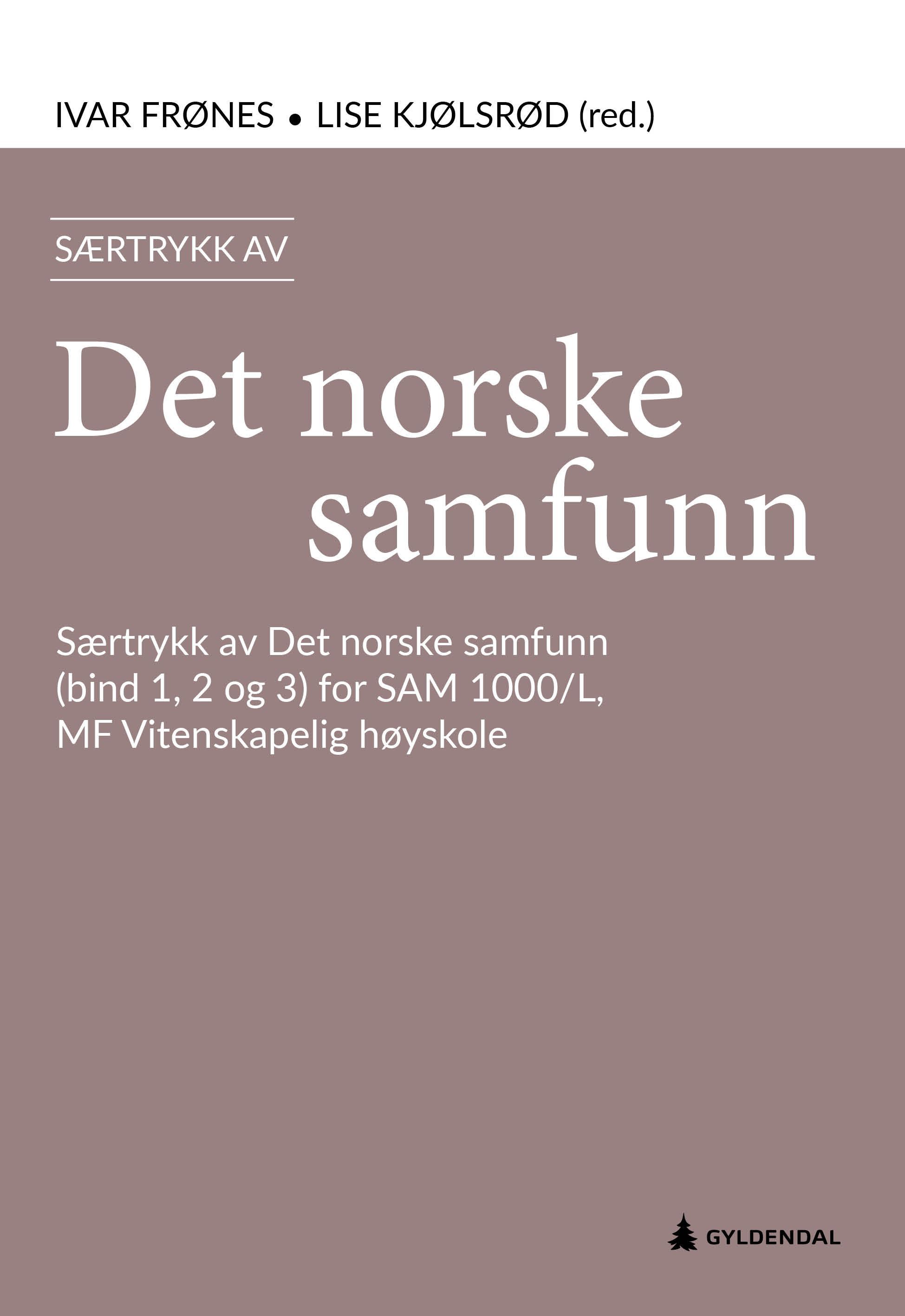 Det norske samfunn : (bind 1, 2 og 3) særtrykk for SAM 1000/L, MF vitenskapelig høyskole
