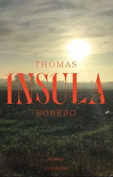 Forsidebilde av Insula : roman