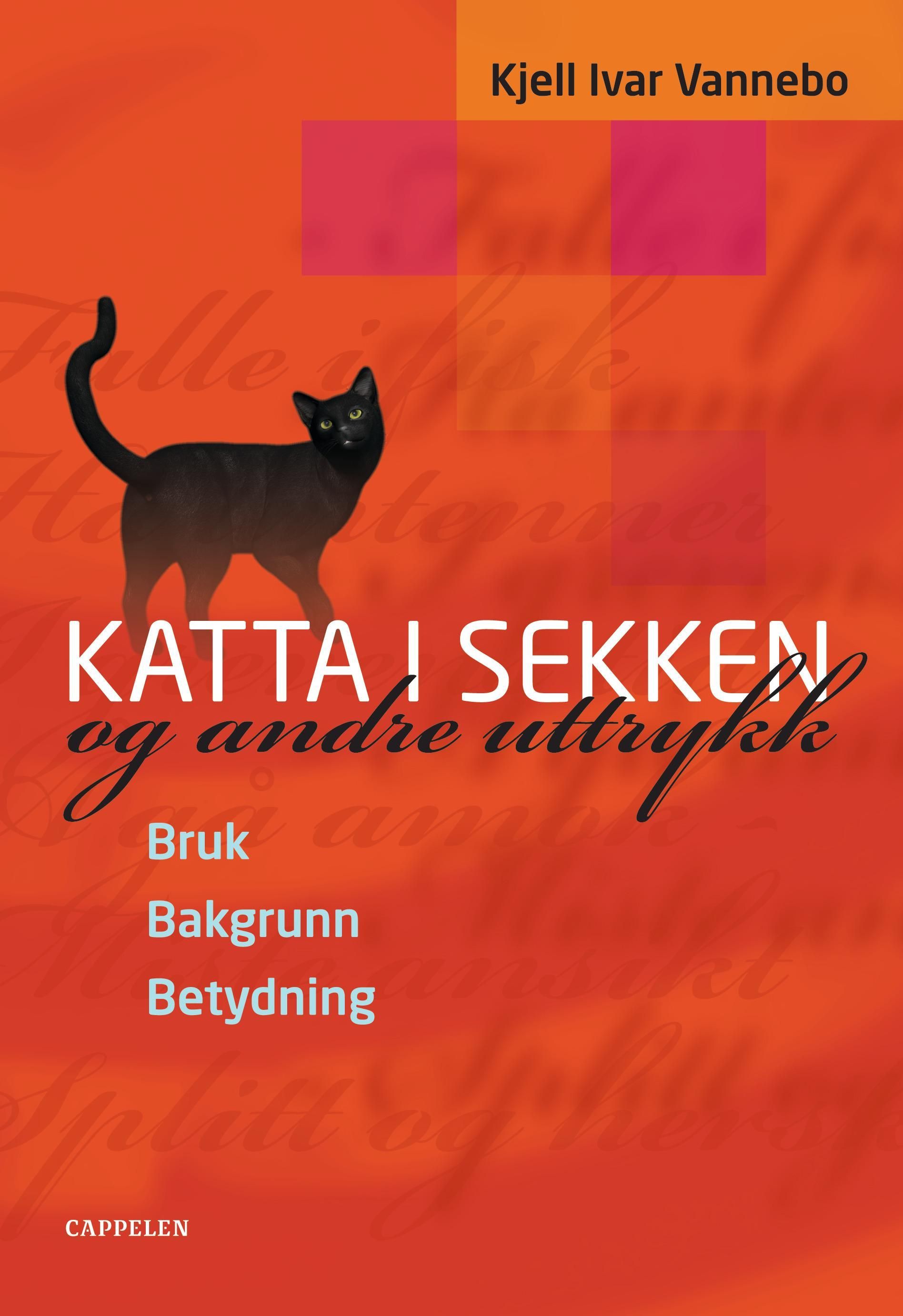 Katta i sekken : og andre uttrykk