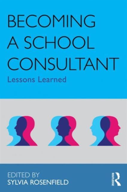 Becoming a School Consultant : Lessons Learned