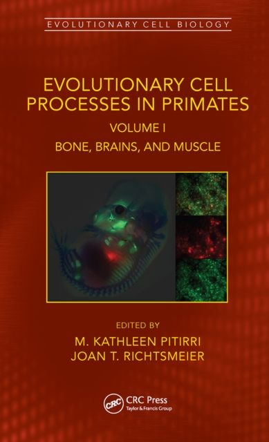 Evolutionary Cell Processes in Primates : Bone, Brains, and Muscle, Volume I