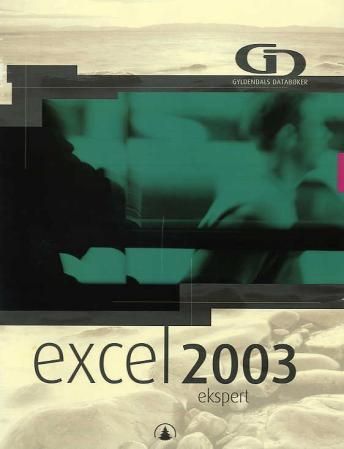 Excel 2003 : ekspert