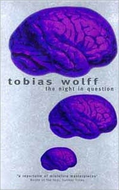 Forsidebilde av Stories of Tobias Wolff