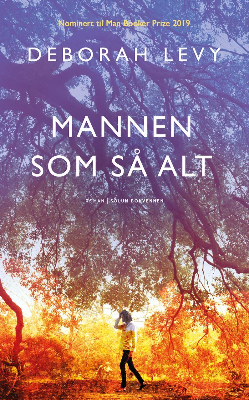 Mannen som så alt : roman