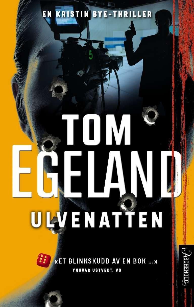 Ulvenatten : en Kristin Bye-thriller