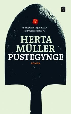 Pustegynge : roman