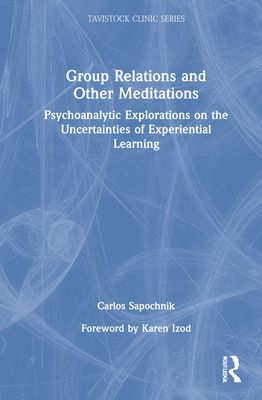 Group Relations and Other Meditations : Psychoanalytic Explorations on the Uncertainties of Experiential Learning
