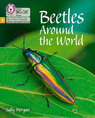 Beetles Around the World : Phase 5 Set 4