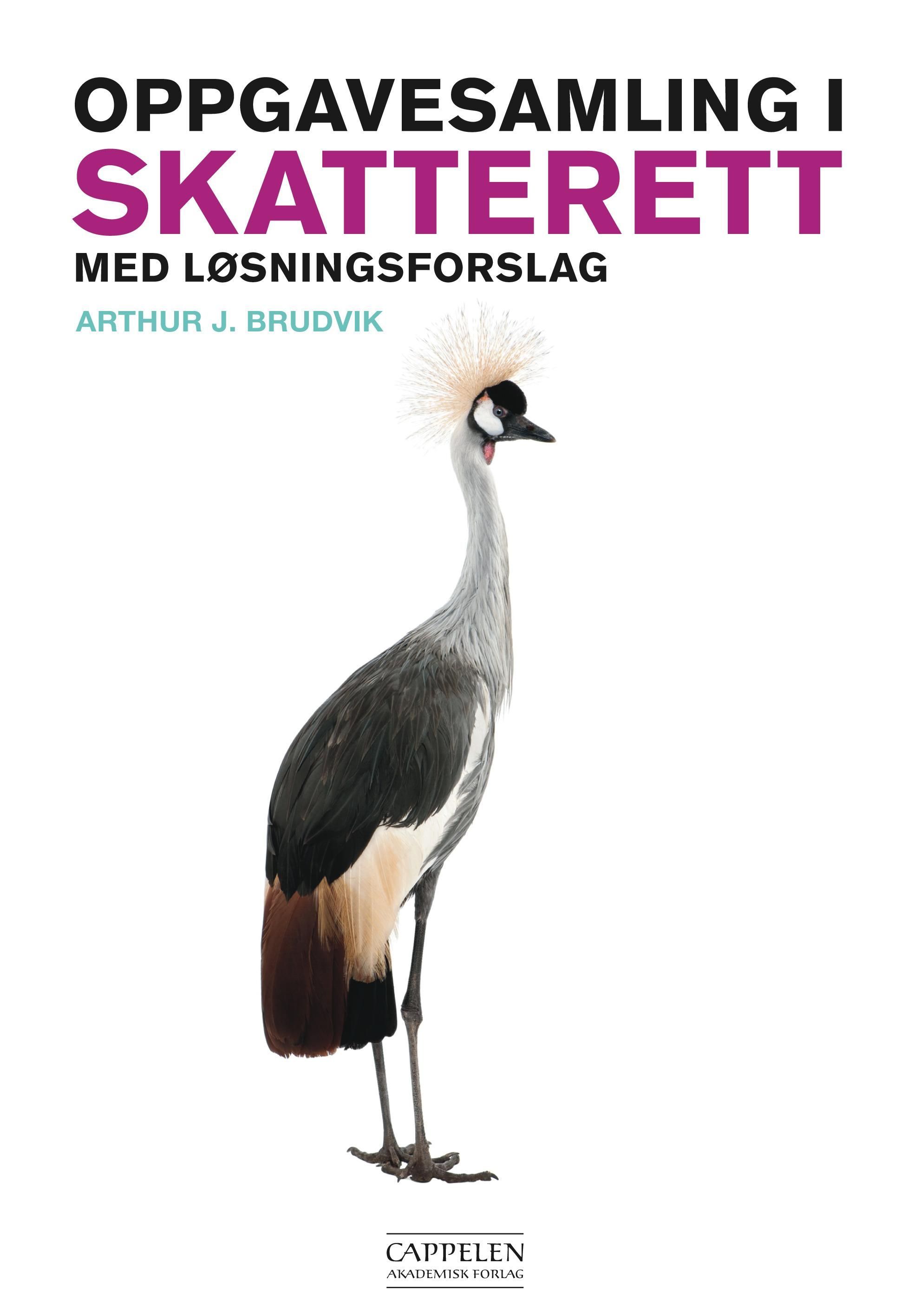Oppgavesamling i skatterett med løsningsforslag