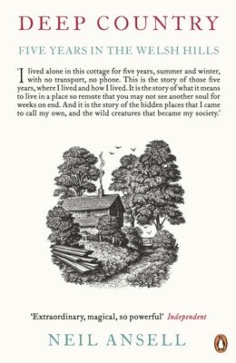 Deep Country : Five Years in the Welsh Hills