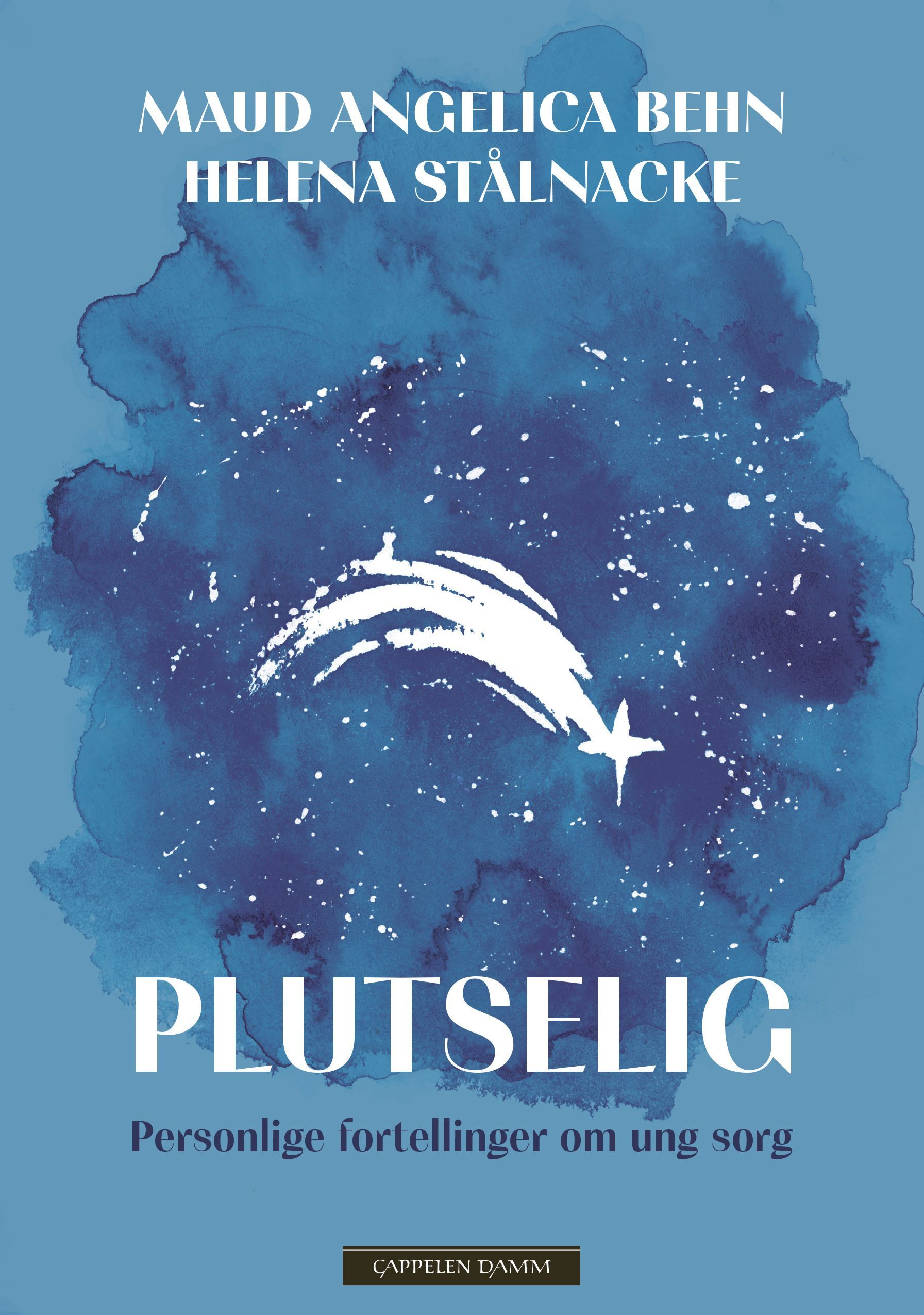 Plutselig : personlige fortellinger om ung sorg