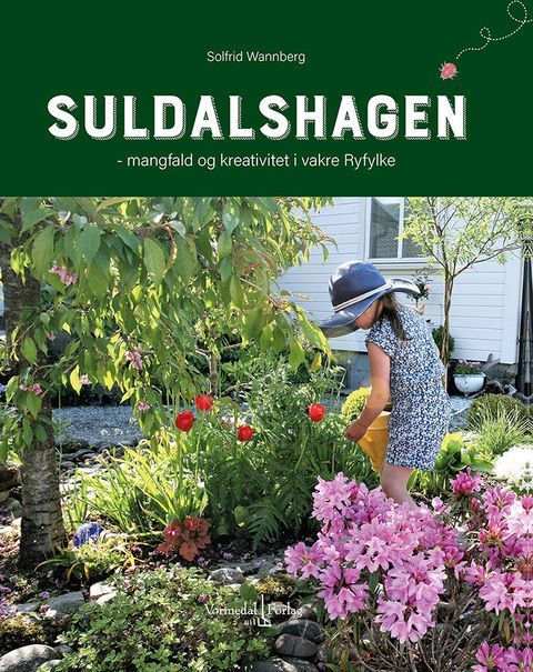 Suldalshagen : mangfald og kreativitet i vakre Ryfylke