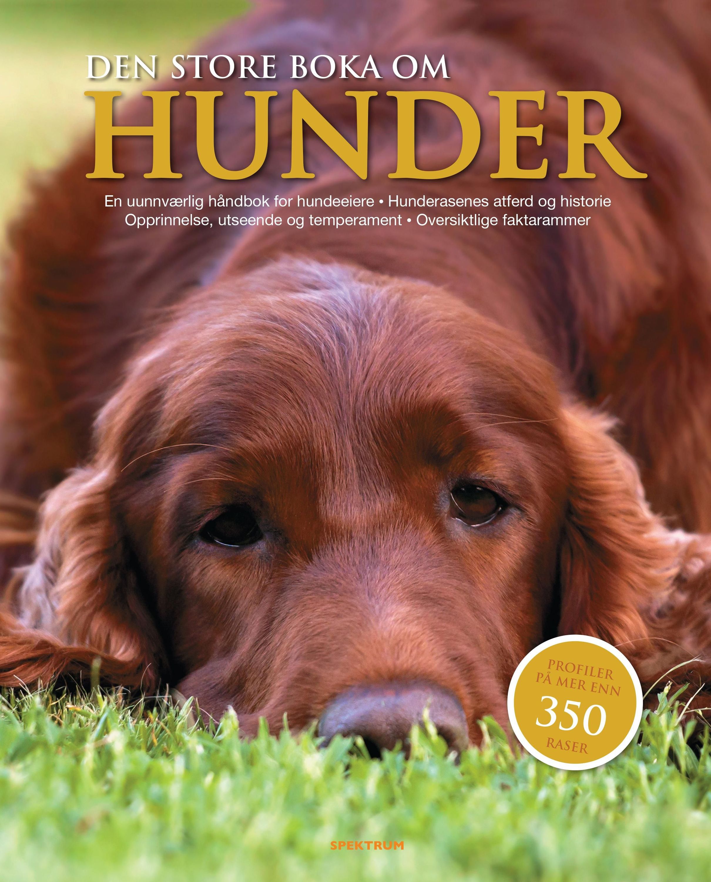 Den store boka om hunder : en uunnværlig håndbok for hundeeiere : hunderasenes atferd og historie : opprinnelse, utseende og temperament : oversiktlige faktarammer