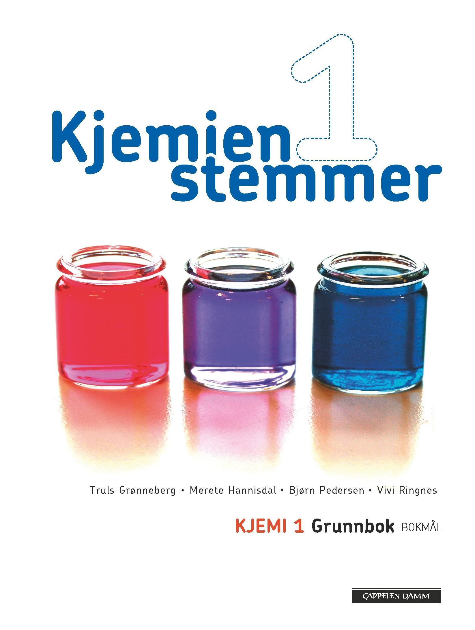 Kjemien stemmer : kjemi 1 : grunnbok