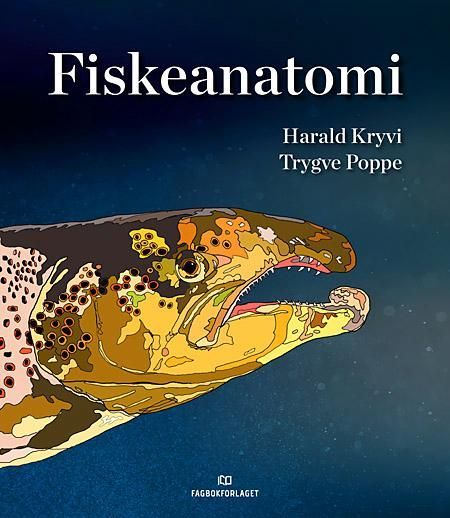 Forsidebilde av Fiskeanatomi