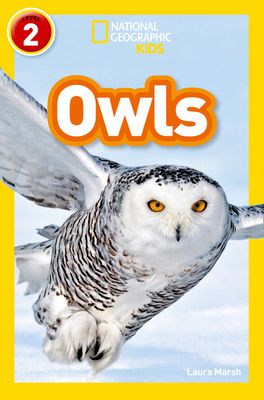Owls : Level 2