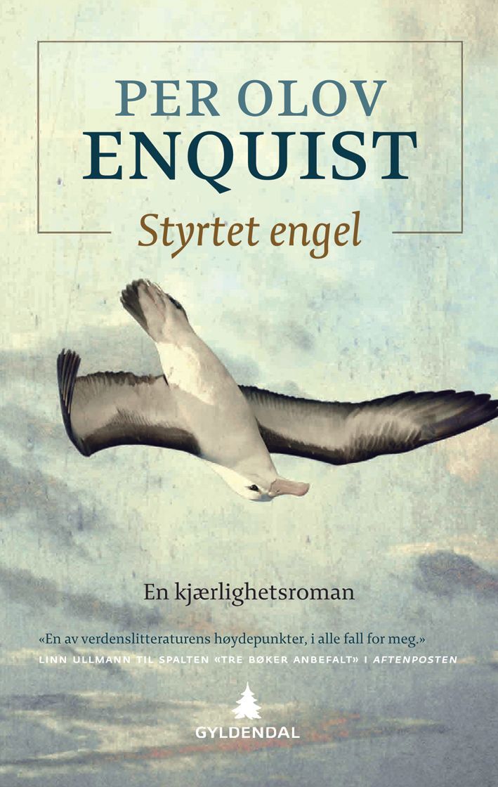 Styrtet engel : en kjærlighetsroman