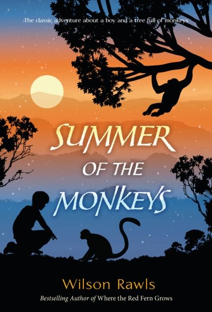 Forsidebilde av Summer of the Monkeys
