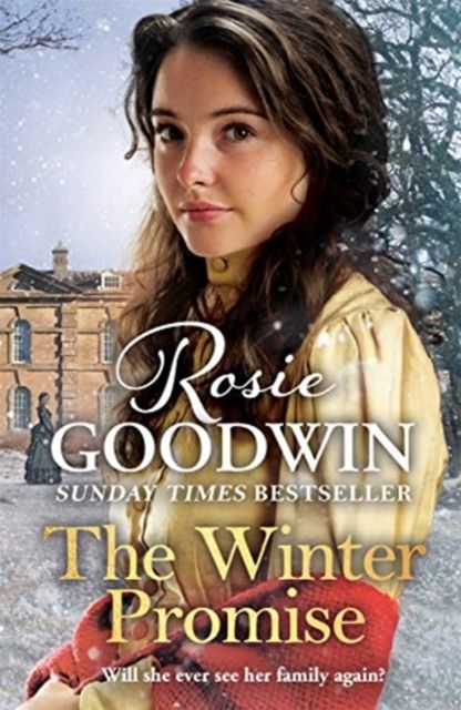 Forsidebilde av The Winter Promise : A perfect cosy Victorian saga from the Sunday Times bestselling author