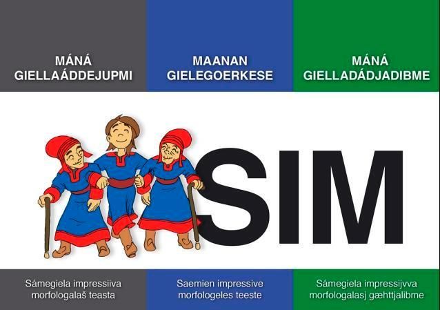 Máná giellaáddejupmi : sámegiela impressiiva morfologala = saemien impressivemorfologeles = sámegiela impressijvva morfologalasj gæhttjalibme : teasta = teeste