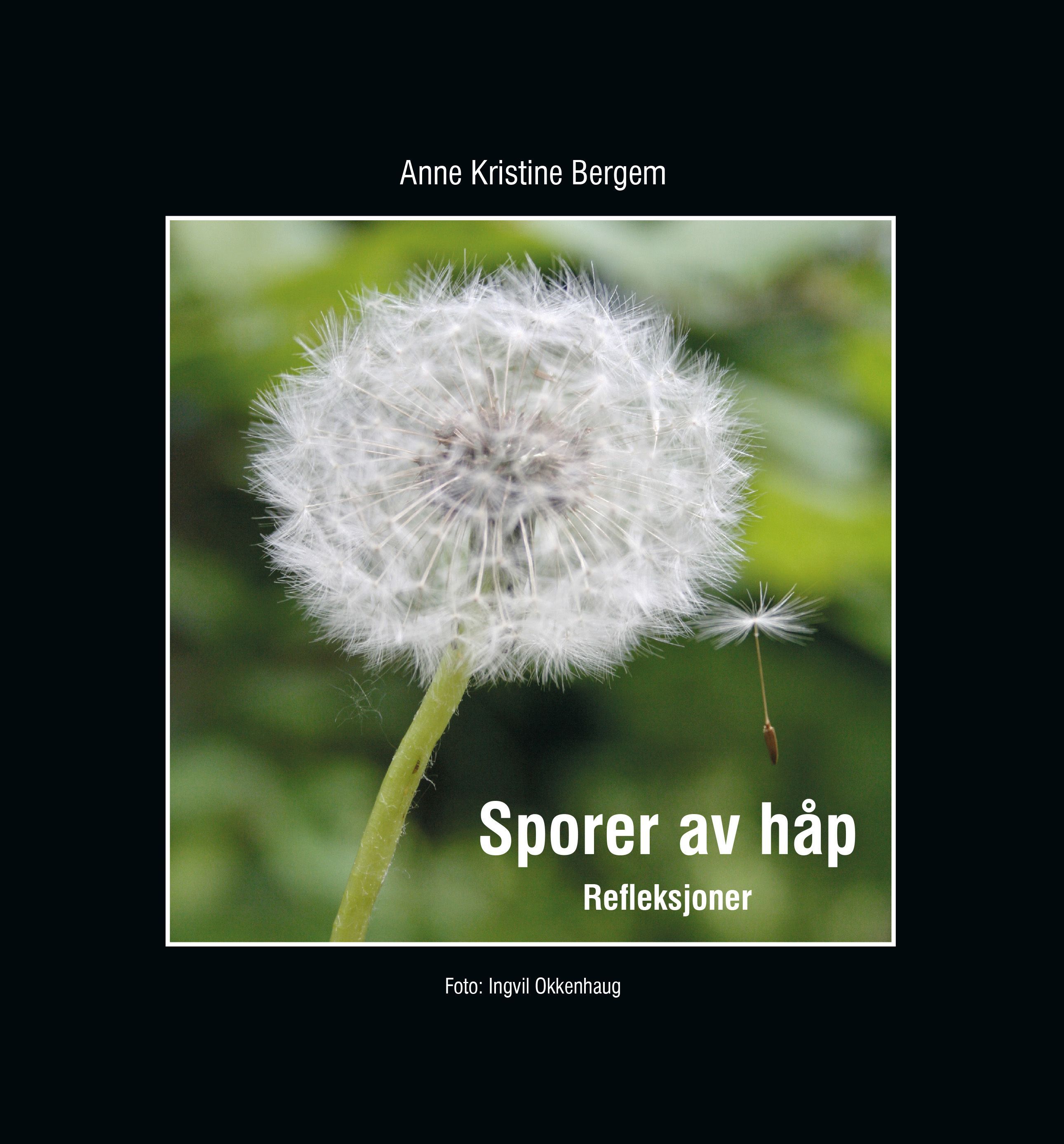 Sporer av håp : refleksjoner